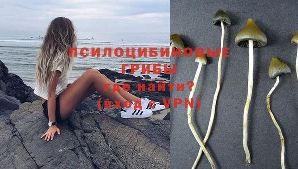 ПСИЛОЦИБИНОВЫЕ ГРИБЫ Нефтекумск