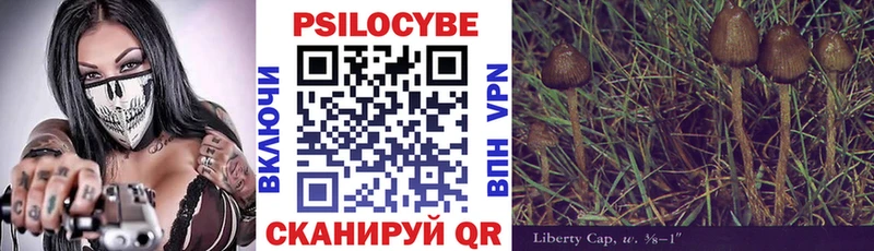 купить наркоту  гидра ONION  Галлюциногенные грибы Cubensis  Ртищево 